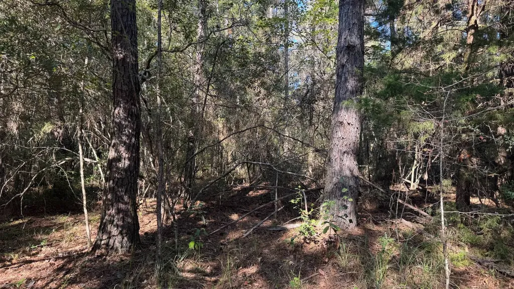 15570 Beaver Dam Road Citronelle AL 36522