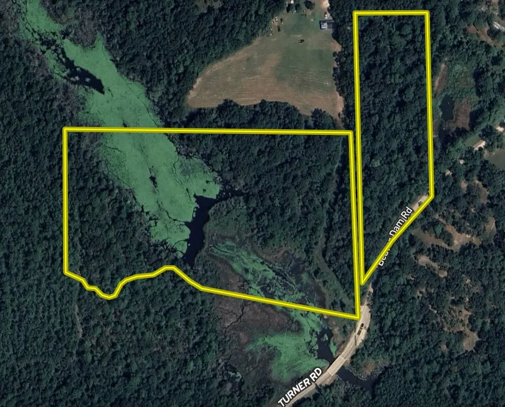 15570 Beaver Dam Road Citronelle AL 36522