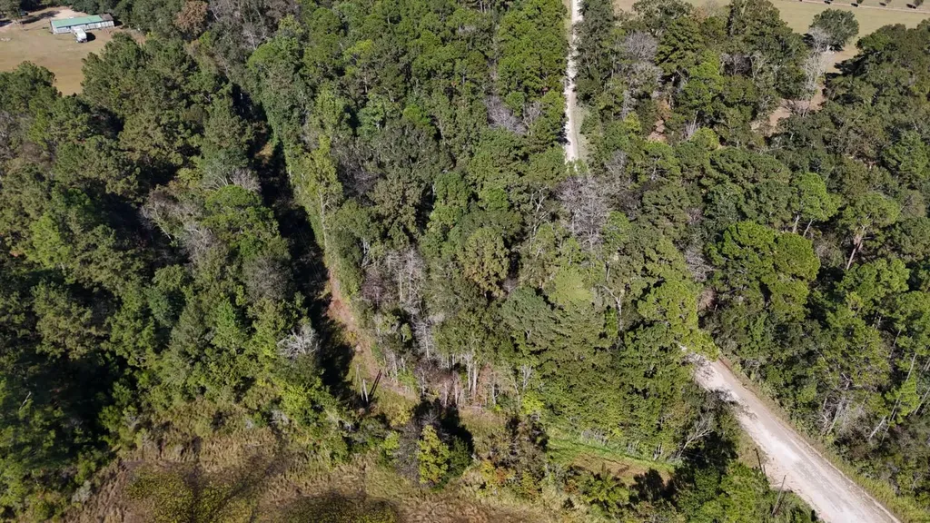 15570 Beaver Dam Road Citronelle AL 36522