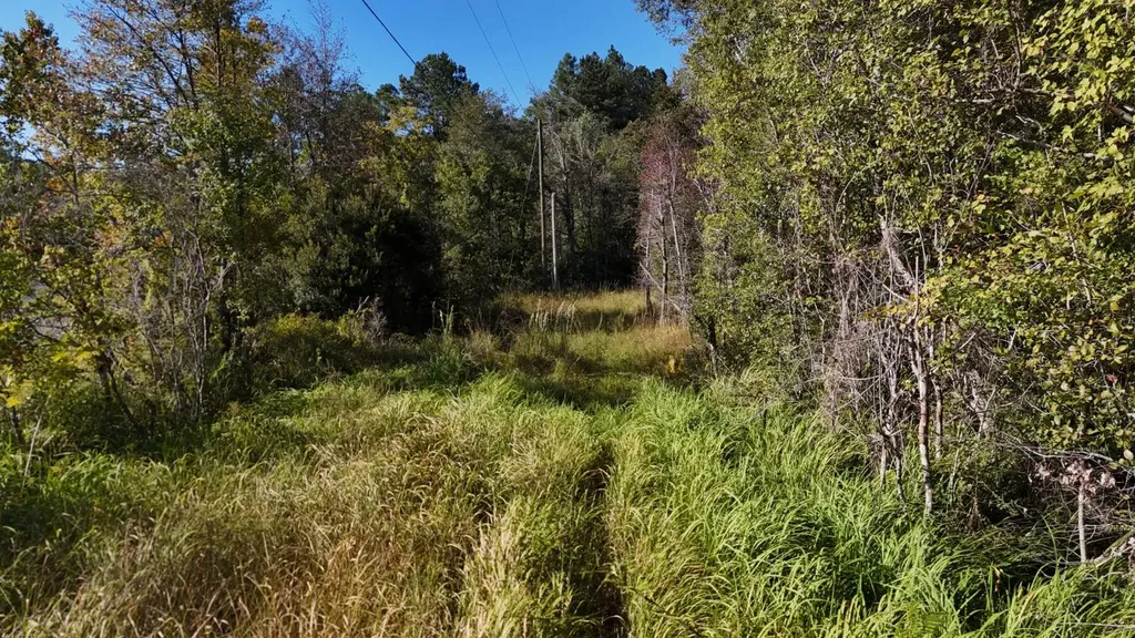 15570 Beaver Dam Road Citronelle AL 36522