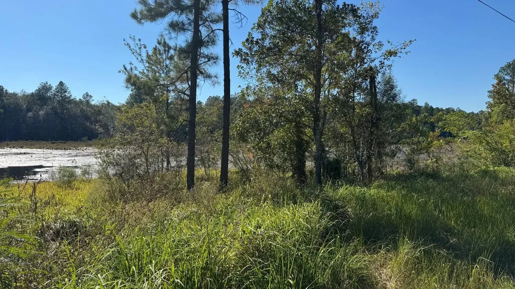 15570 Beaver Dam Road Citronelle AL 36522