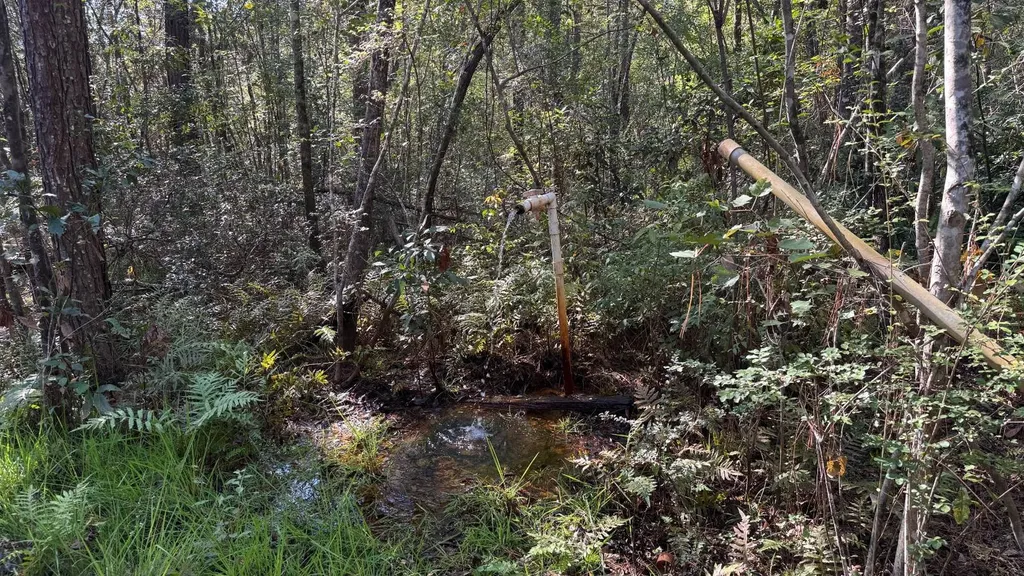 15570 Beaver Dam Road Citronelle AL 36522