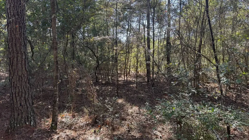 15570 Beaver Dam Road Citronelle AL 36522