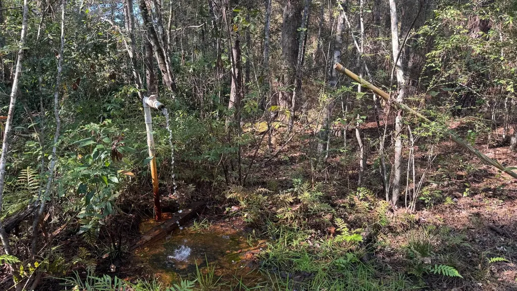 15570 Beaver Dam Road Citronelle AL 36522