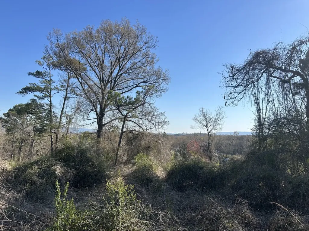 0 County Road 135 Stevenson AL 35772