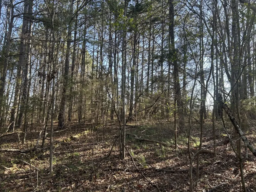 0 County Road 135 Stevenson AL 35772