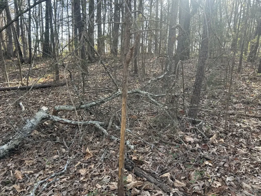 0 County Road 135 Stevenson AL 35772