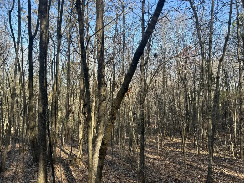 0 County Road 135 Stevenson AL 35772