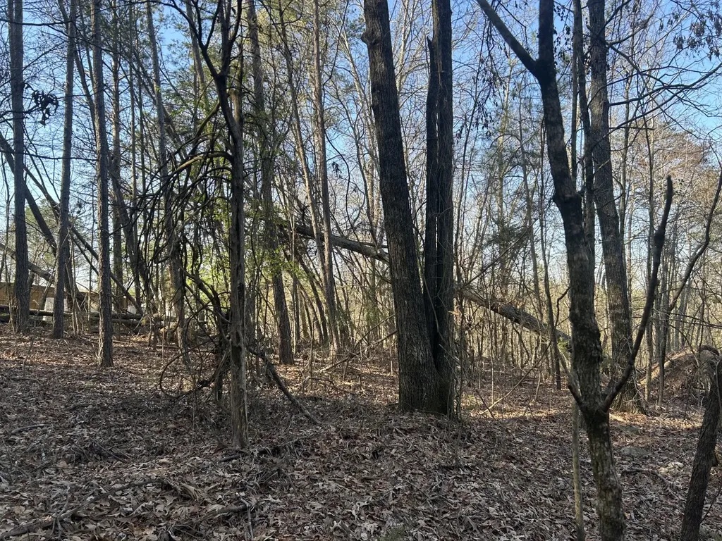 0 County Road 135 Stevenson AL 35772