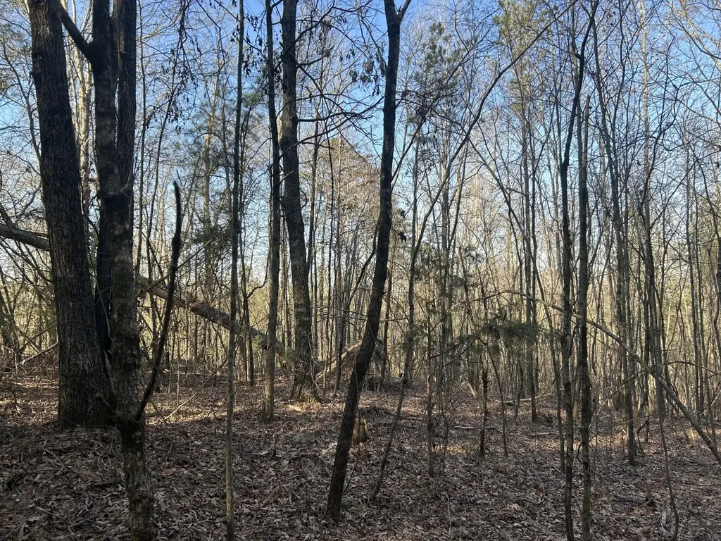 0 County Road 135 Stevenson AL 35772