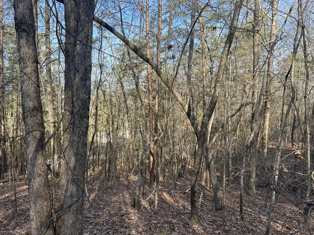 0 County Road 135 Stevenson AL 35772