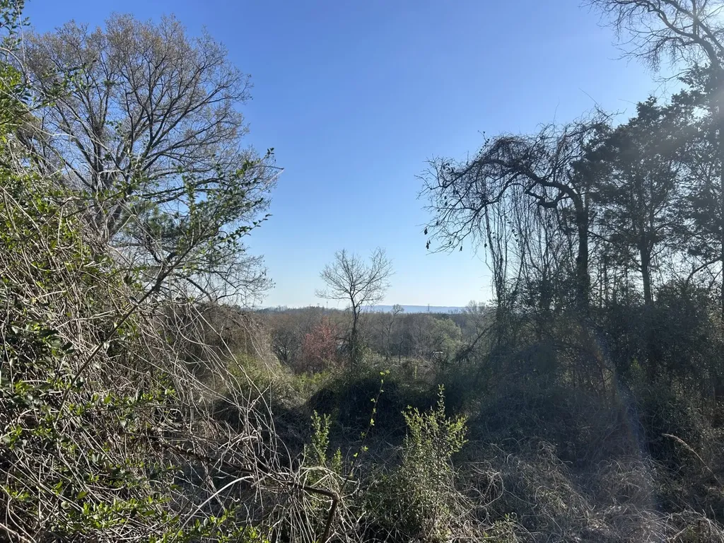 0 County Road 135 Stevenson AL 35772