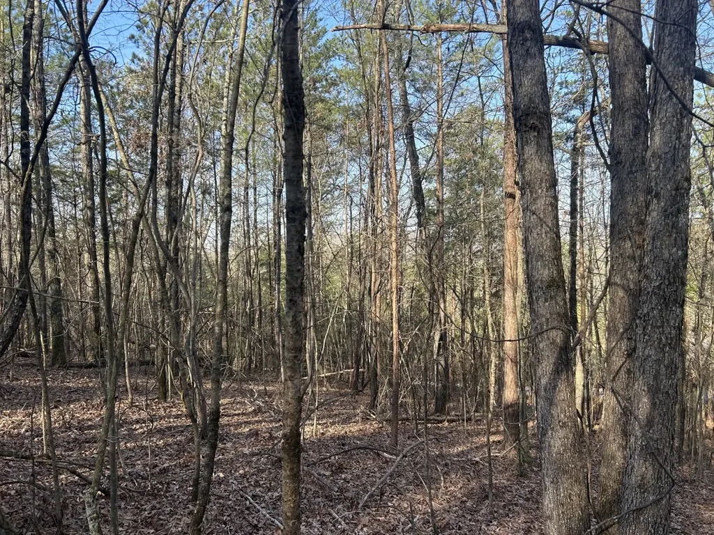 0 County Road 135 Stevenson AL 35772