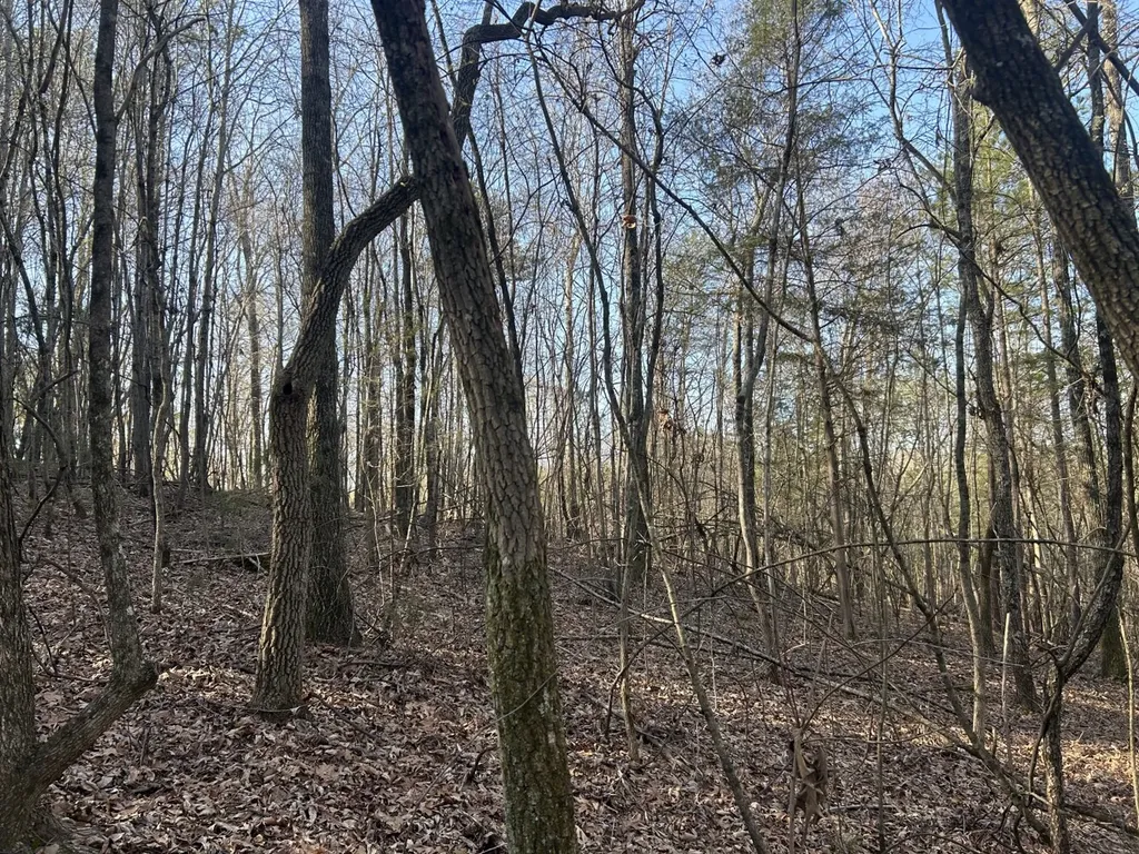 0 County Road 135 Stevenson AL 35772