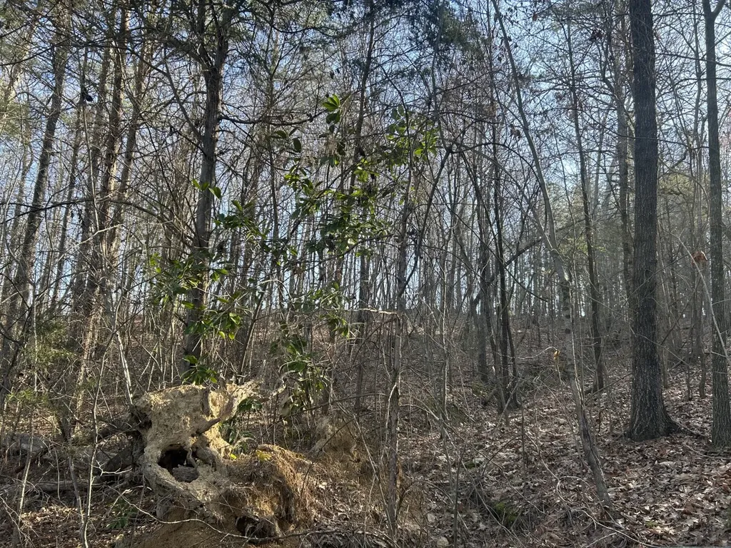 0 County Road 135 Stevenson AL 35772