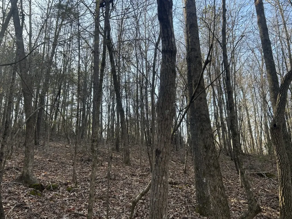 0 County Road 135 Stevenson AL 35772