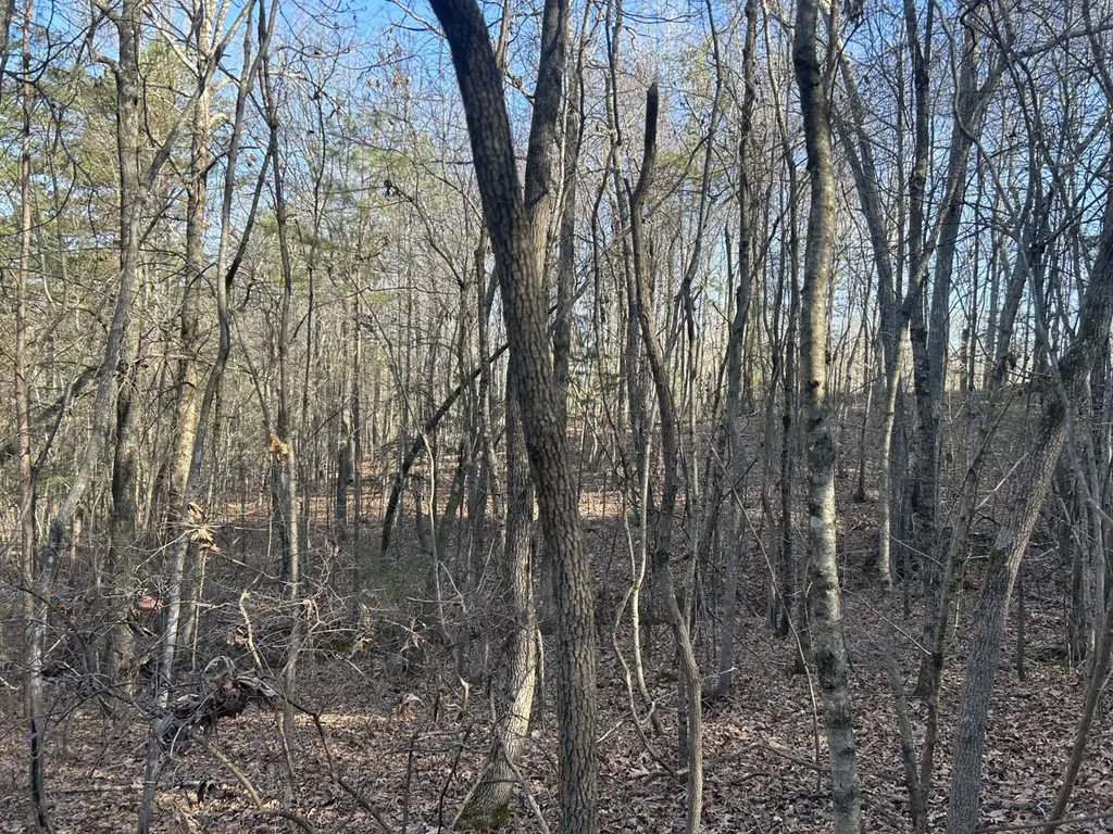 0 County Road 135 Stevenson AL 35772