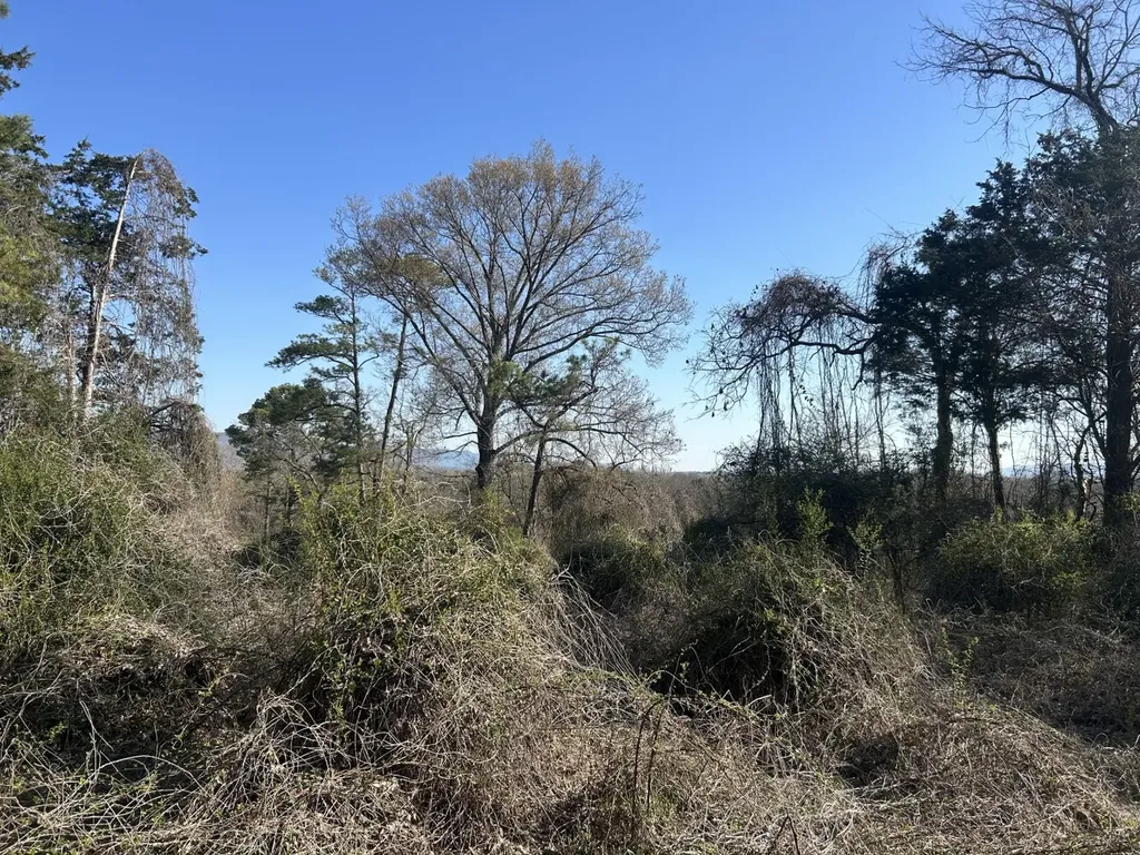 0 County Road 135 Stevenson AL 35772