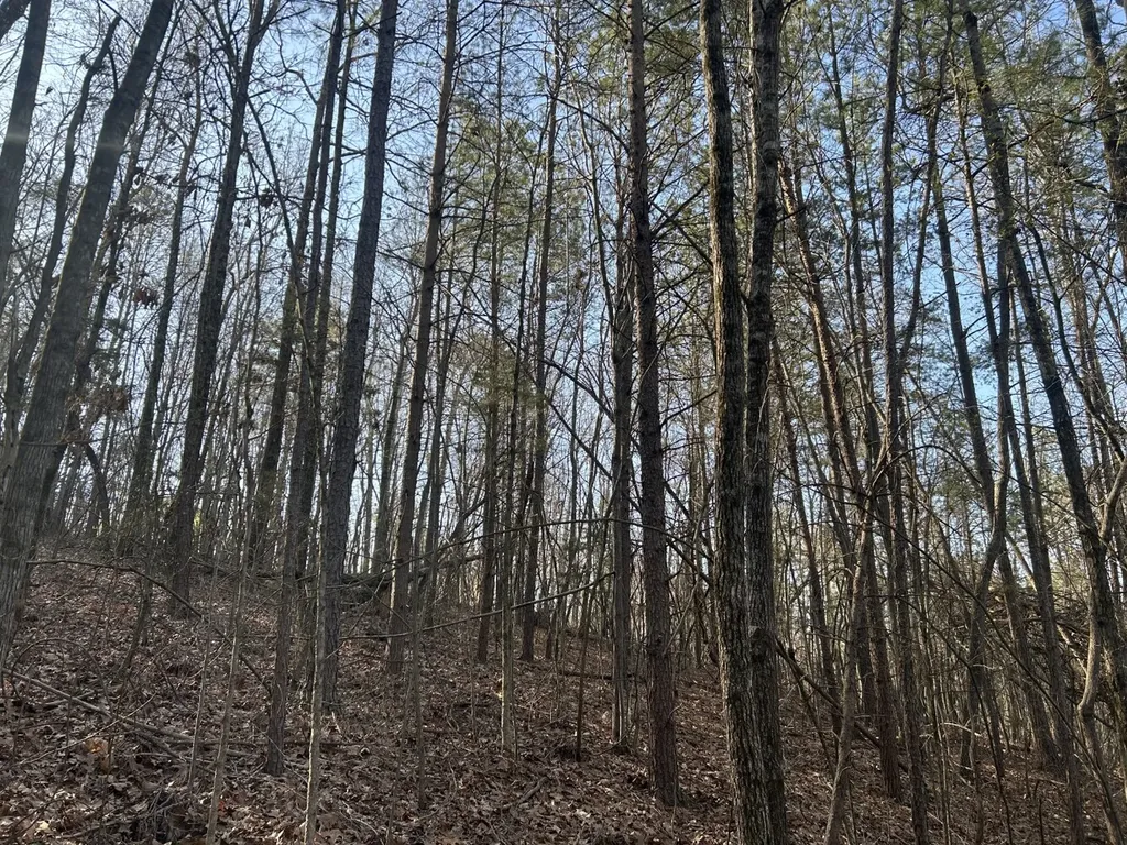 0 County Road 135 Stevenson AL 35772