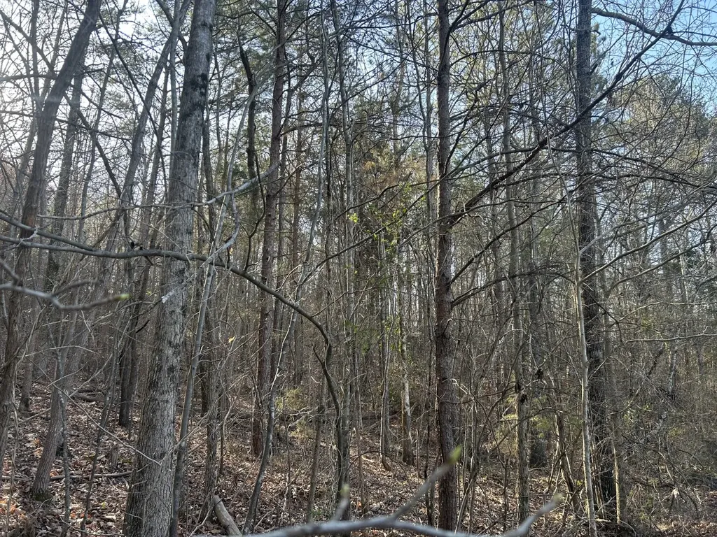 0 County Road 135 Stevenson AL 35772