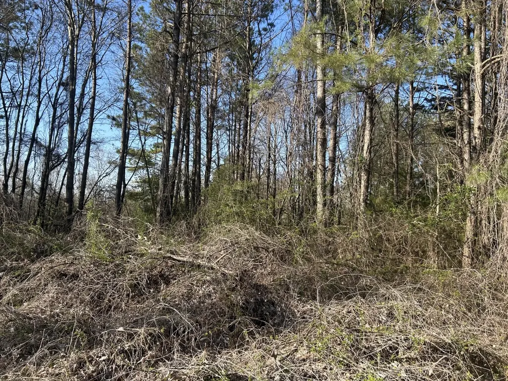 0 County Road 135 Stevenson AL 35772