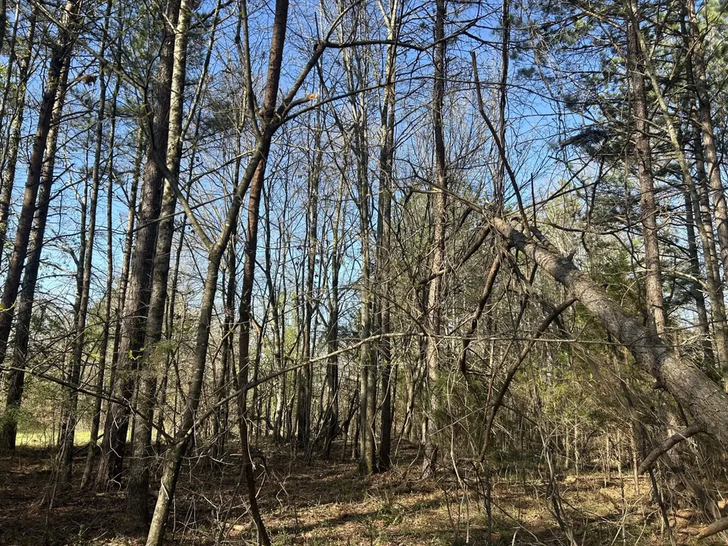 0 County Road 135 Stevenson AL 35772