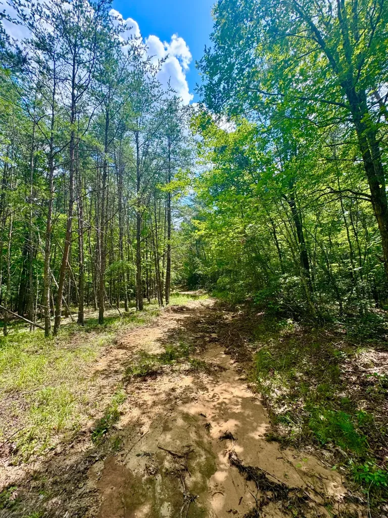 0 Highway 195 Ashridge AL 35553