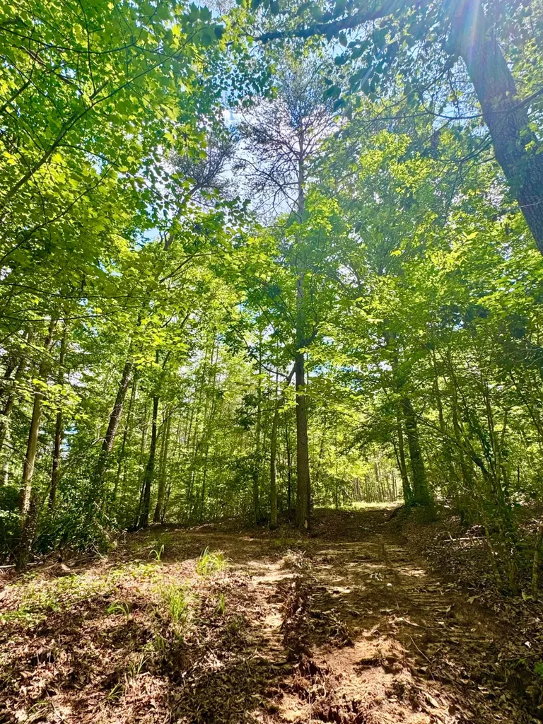 0 Highway 195 Ashridge AL 35553