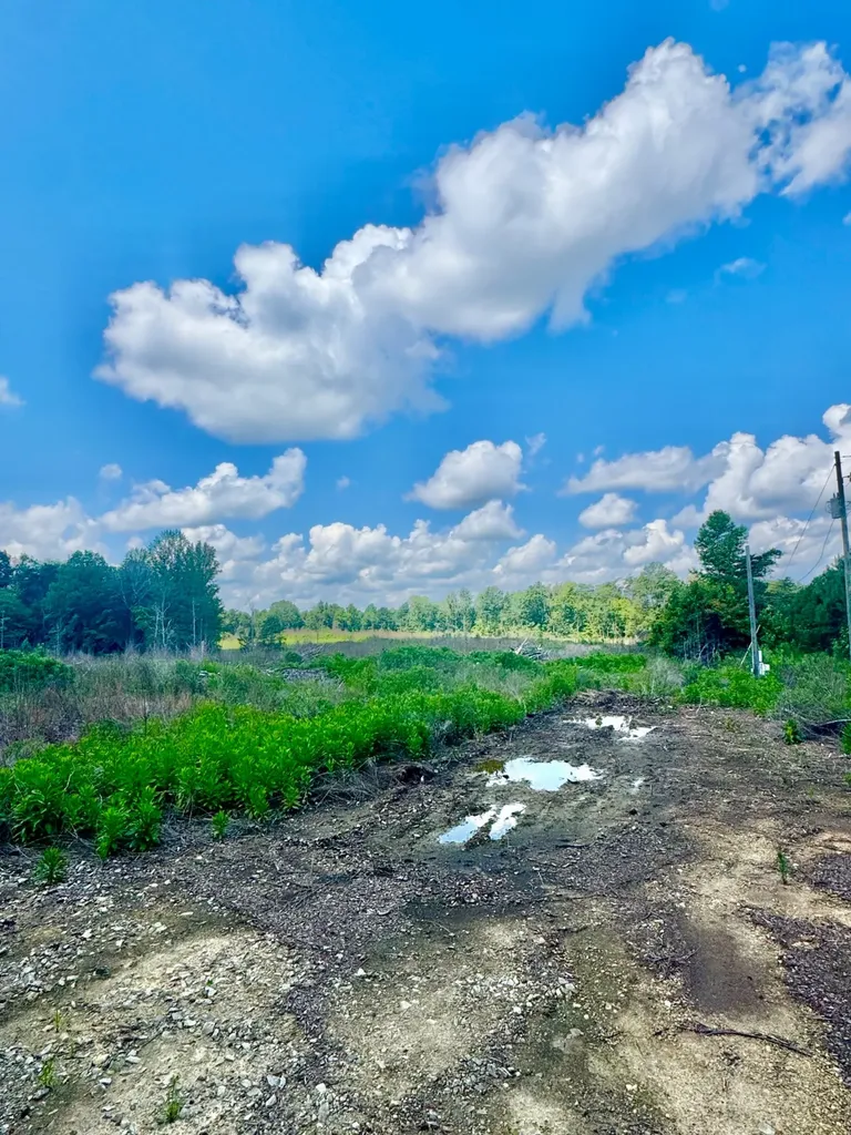 0 Highway 195 Ashridge AL 35553