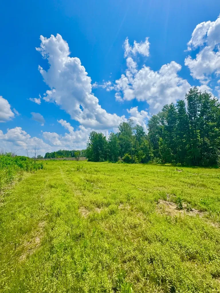 0 Highway 195 Ashridge AL 35553