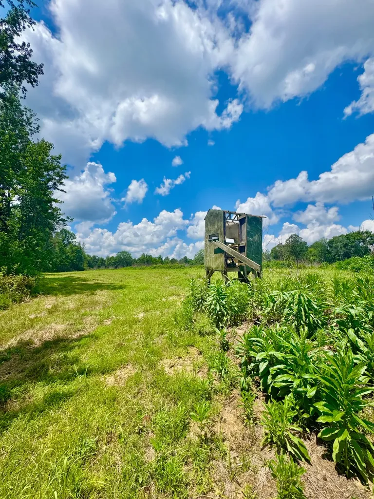 0 Highway 195 Ashridge AL 35553