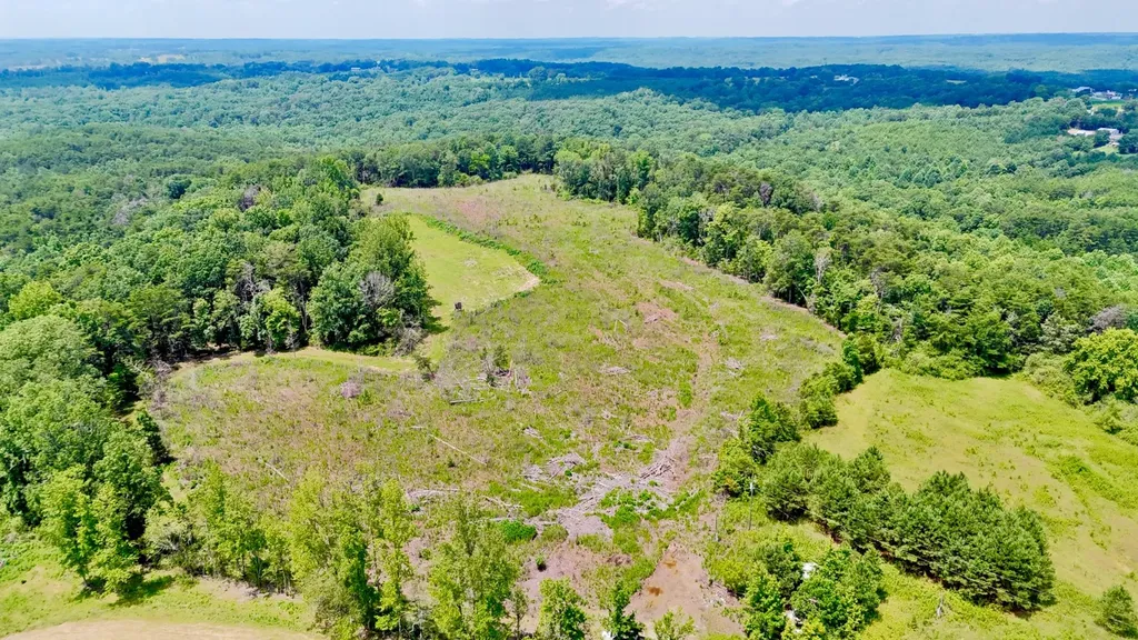 0 Highway 195 Ashridge AL 35553