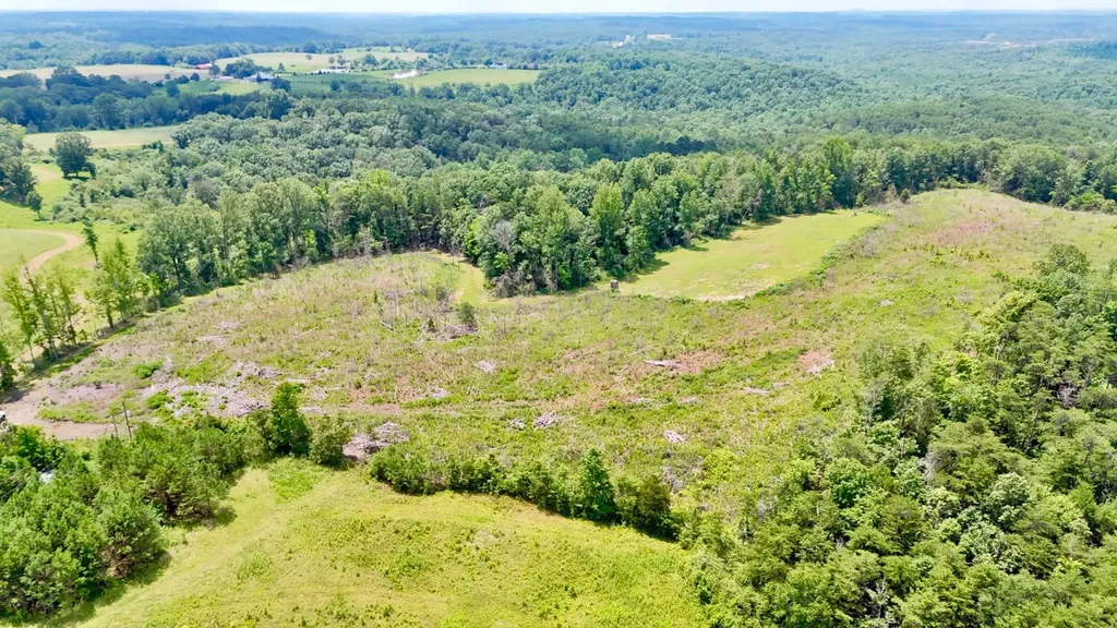 0 Highway 195 Ashridge AL 35553
