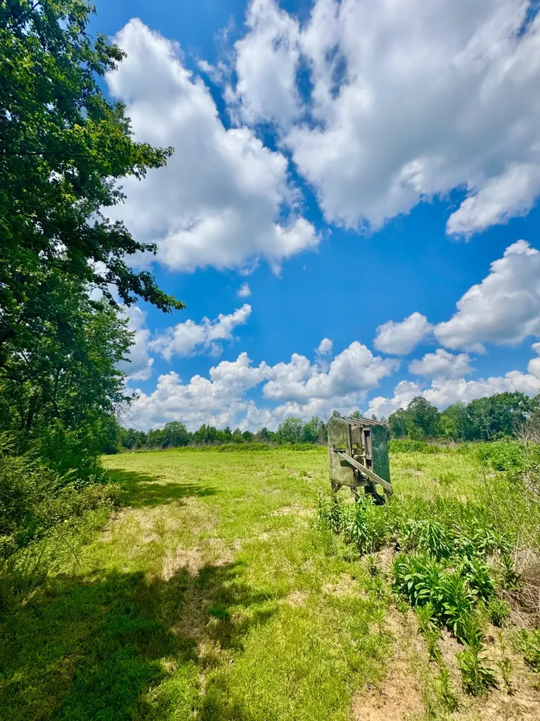 0 Highway 195 Ashridge AL 35553