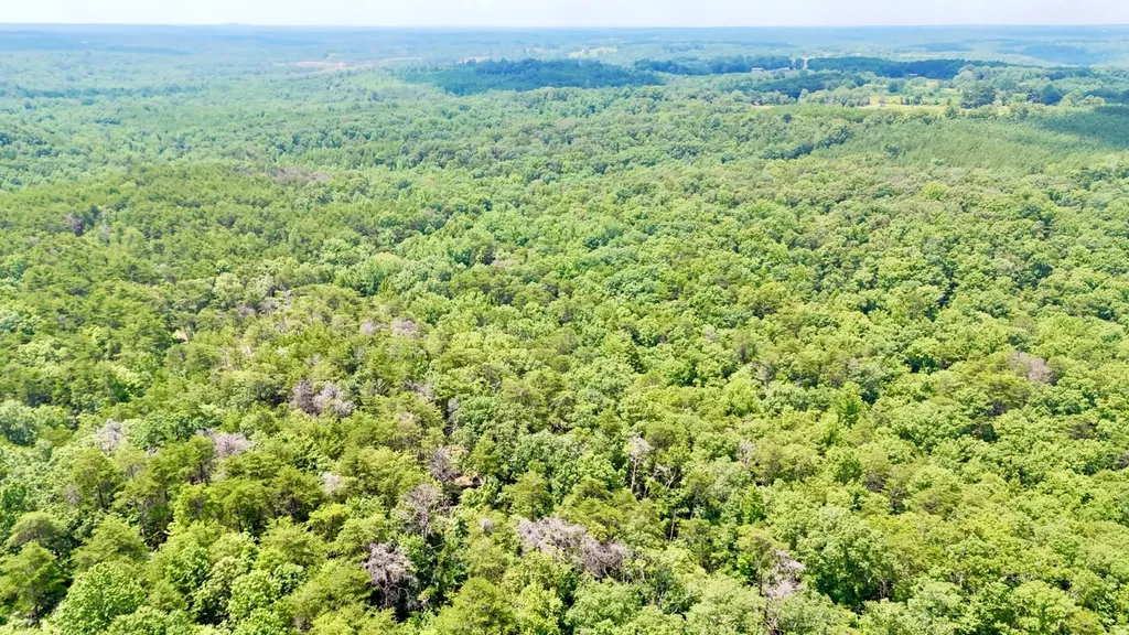 0 Highway 195 Ashridge AL 35553