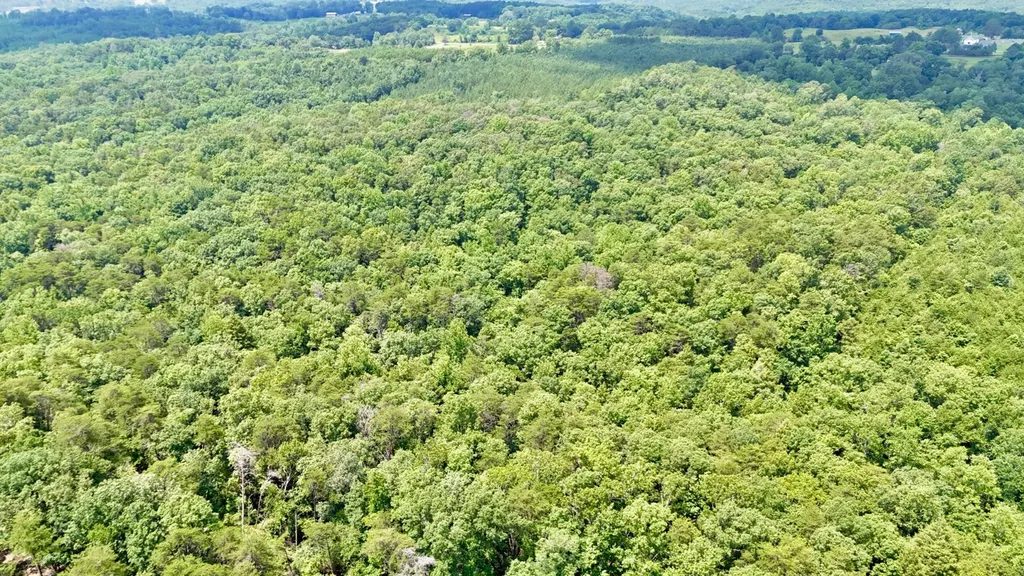 0 Highway 195 Ashridge AL 35553