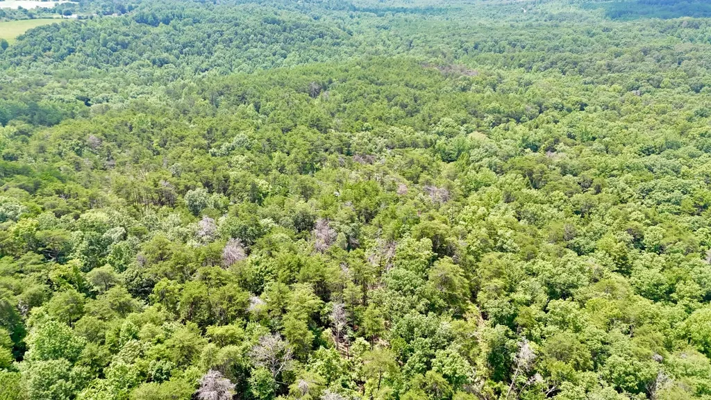 0 Highway 195 Ashridge AL 35553