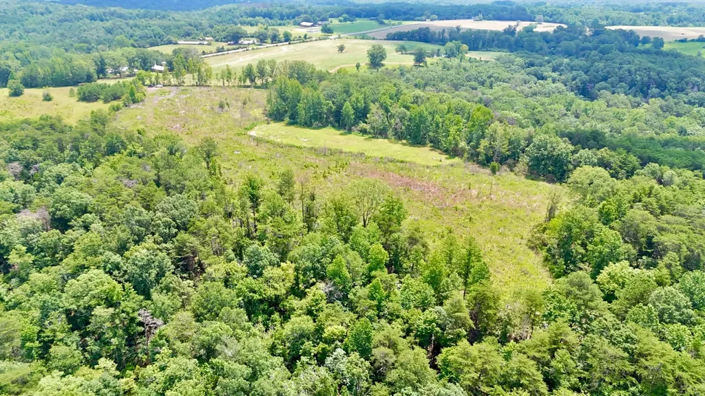 0 Highway 195 Ashridge AL 35553