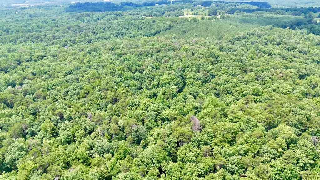0 Highway 195 Ashridge AL 35553
