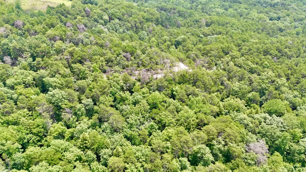 0 Highway 195 Ashridge AL 35553