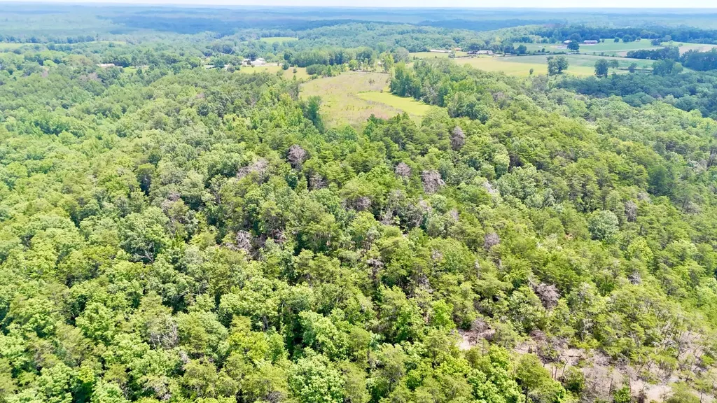 0 Highway 195 Ashridge AL 35553