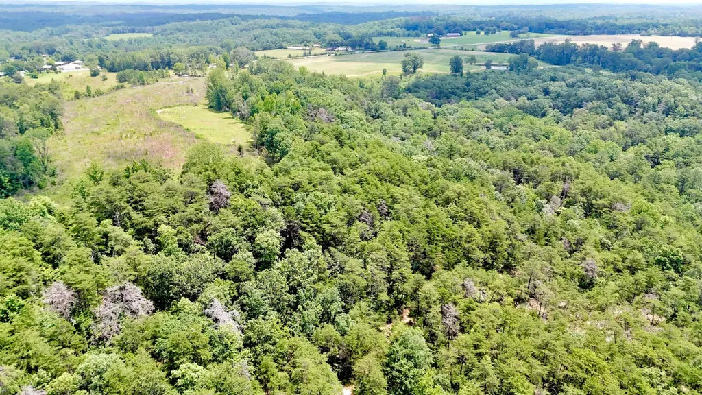 0 Highway 195 Ashridge AL 35553