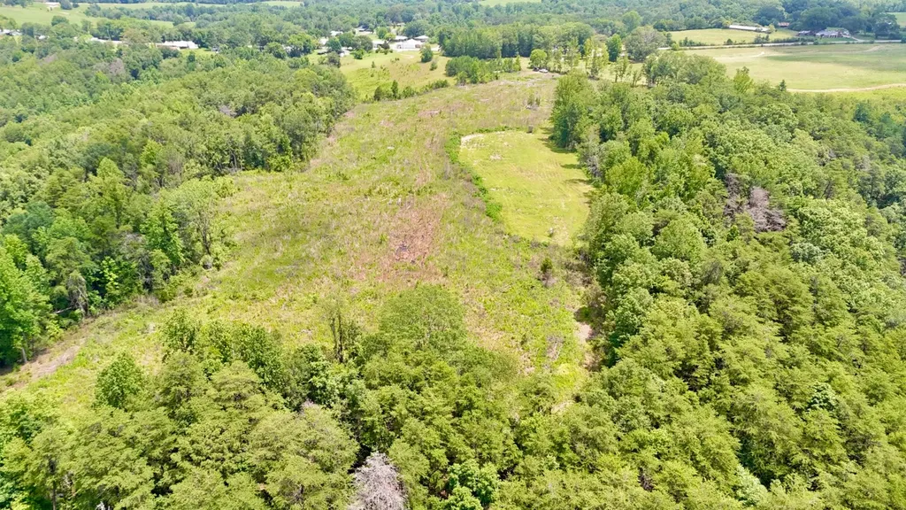 0 Highway 195 Ashridge AL 35553