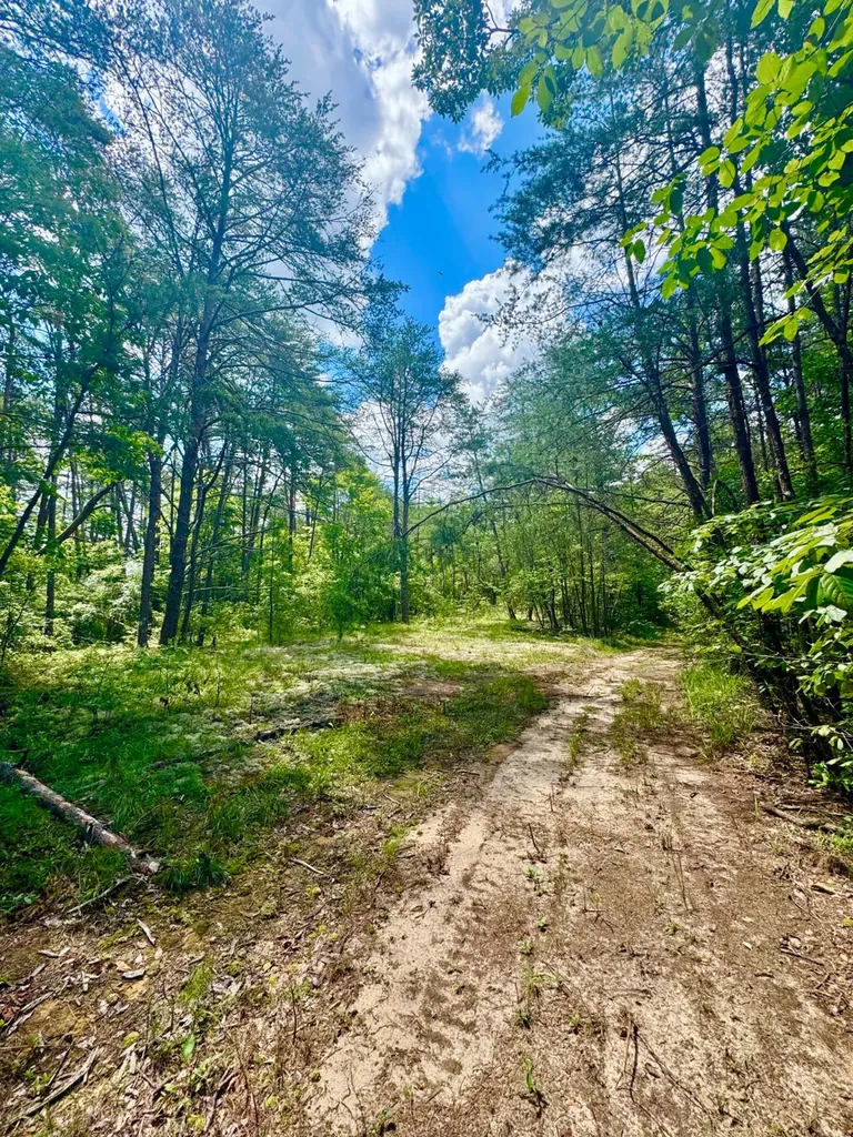 0 Highway 195 Ashridge AL 35553