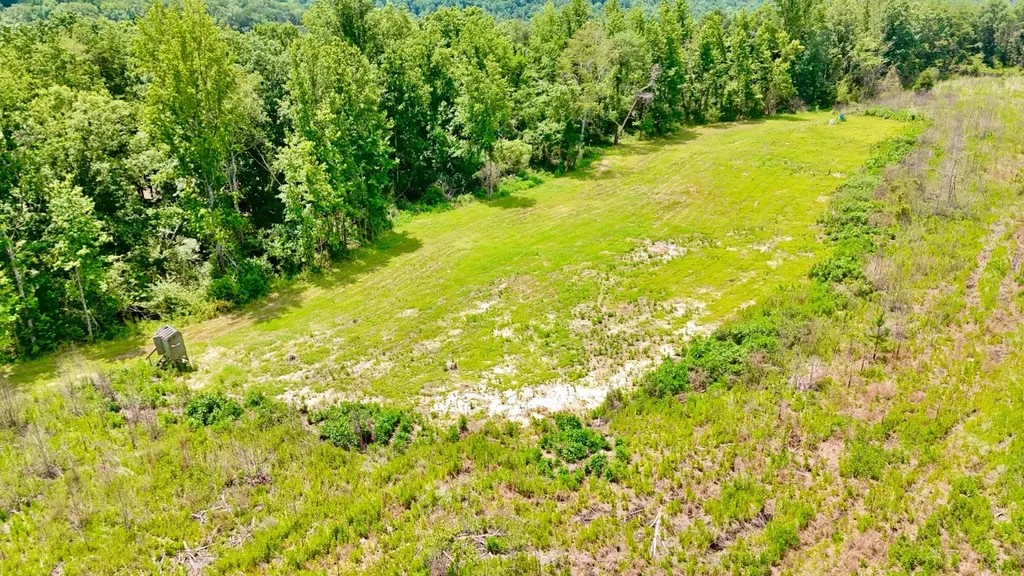 0 Highway 195 Ashridge AL 35553