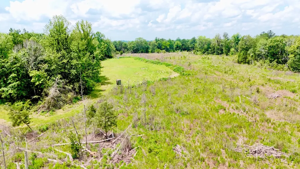 0 Highway 195 Ashridge AL 35553