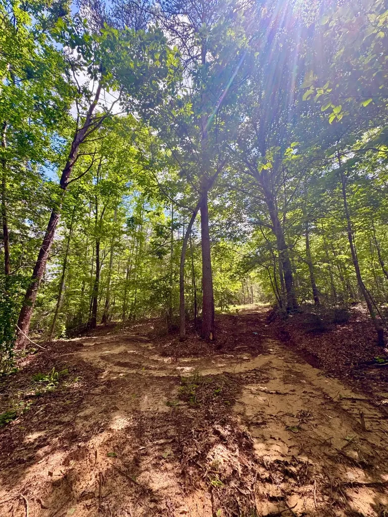 0 Highway 195 Ashridge AL 35553