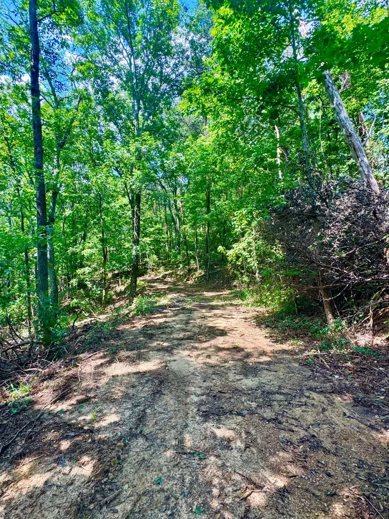 0 Highway 195 Ashridge AL 35553