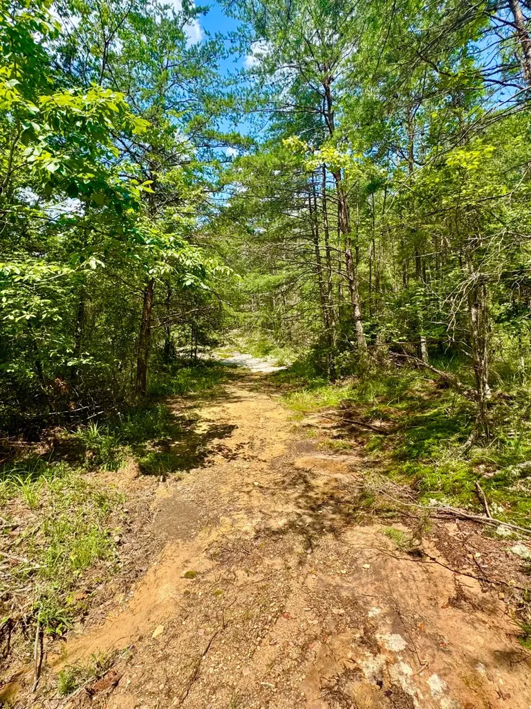 0 Highway 195 Ashridge AL 35553