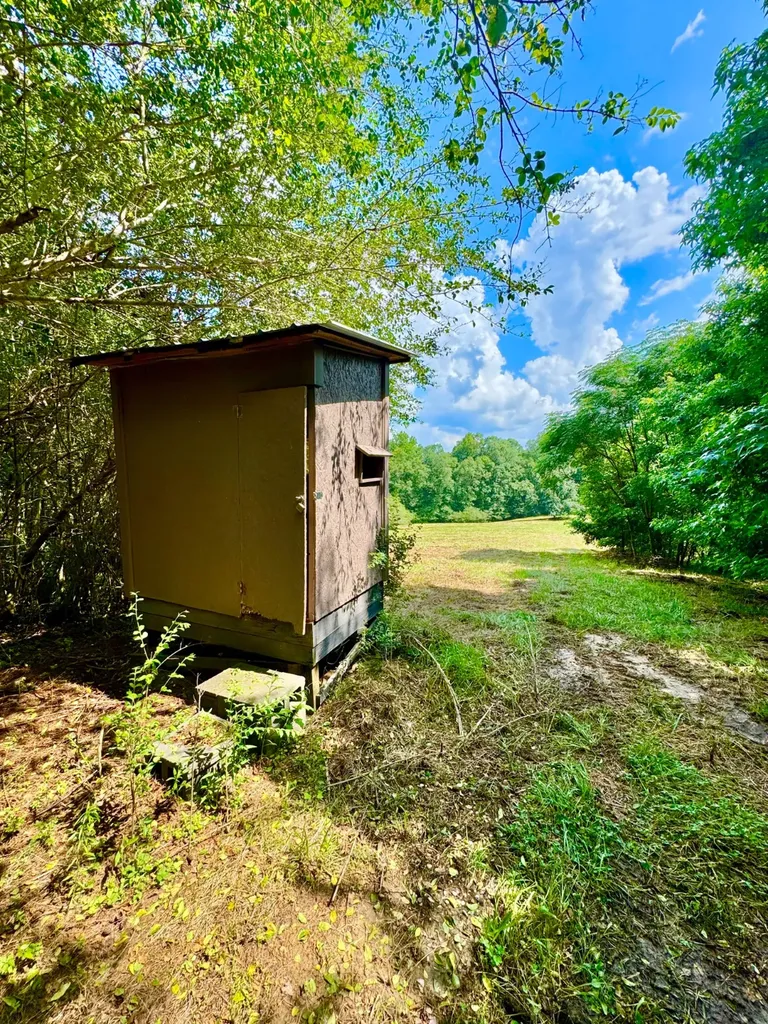 0 Bailey Road Double Springs AL 35553